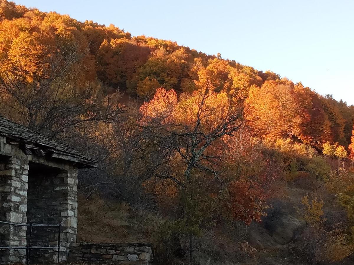 Guesthouse Kontogianni - Materka Nimfaíon Екстериор снимка